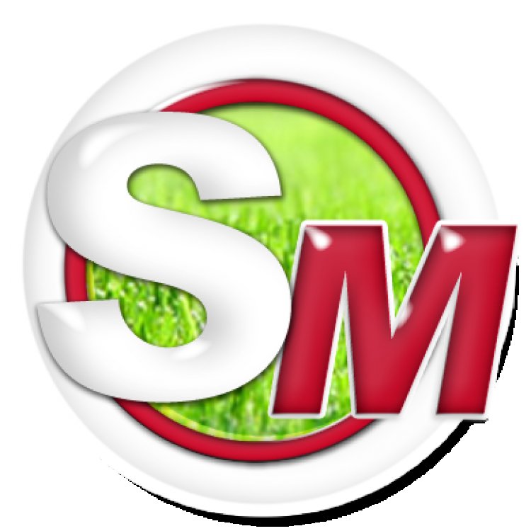 Martindale: 'Lockdown prevented violence in Rangers